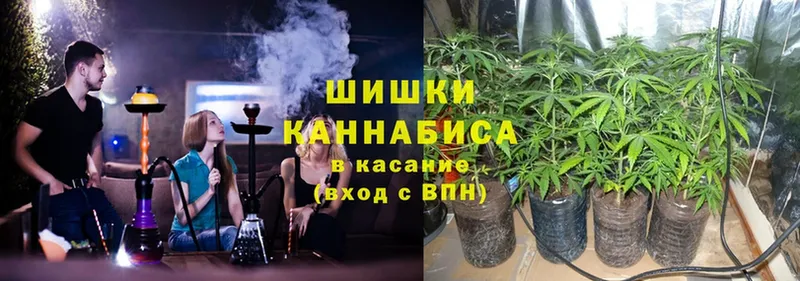 МАРИХУАНА SATIVA & INDICA  Сыктывкар 